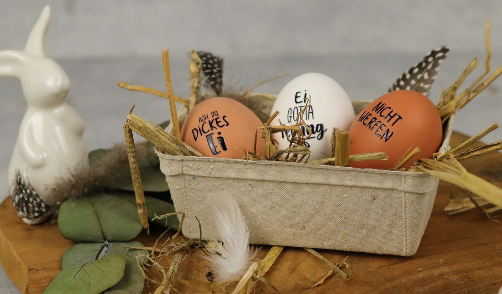 Animated markings image