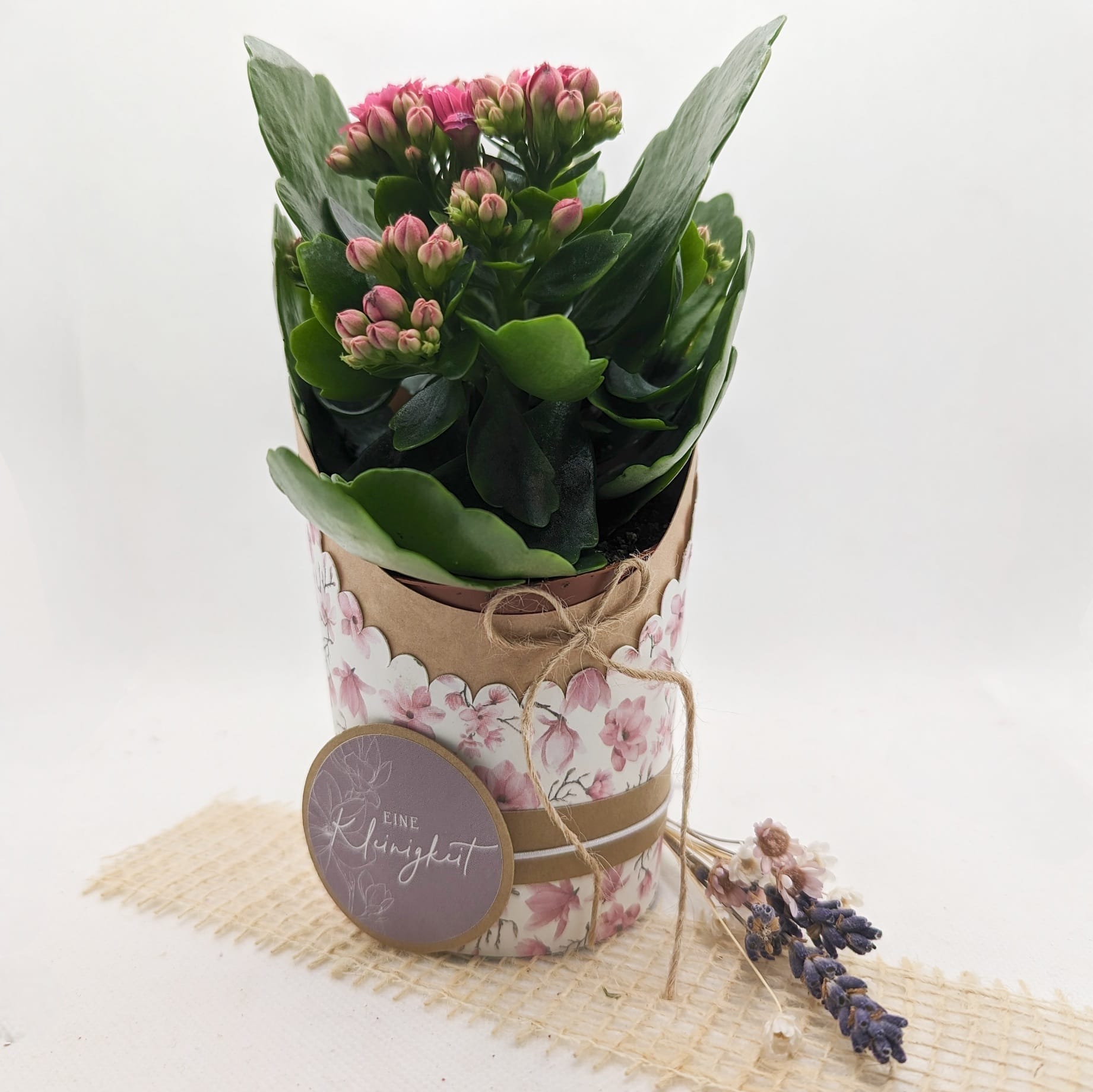 Designbeispiel Plotterdatei Süß(es) verpackt mit Designpapier Magnolienblühen dekoriert als Blumentopf